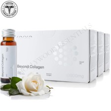 Sana Amsterdam Beyond Collagen Drink Skin Whitening Set, 10 Boxes (100 days)